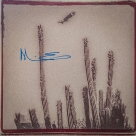 Alejandro Escovedo autograph