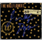 The Wallflowers (Jakob Dylan) autograph