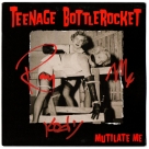 Teenage Bottlerocket (Ray Carlisle, Kody Templeman, & Miguel Chen) autograph