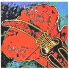 Toad the Wet Sprocket (Glen Phillips) autograph