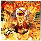 Toad the Wet Sprocket (Glen Phillips) autograph