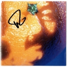 Phish (Trey Anastasio) autograph