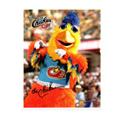 The Famous Chicken (Mascot) autograph